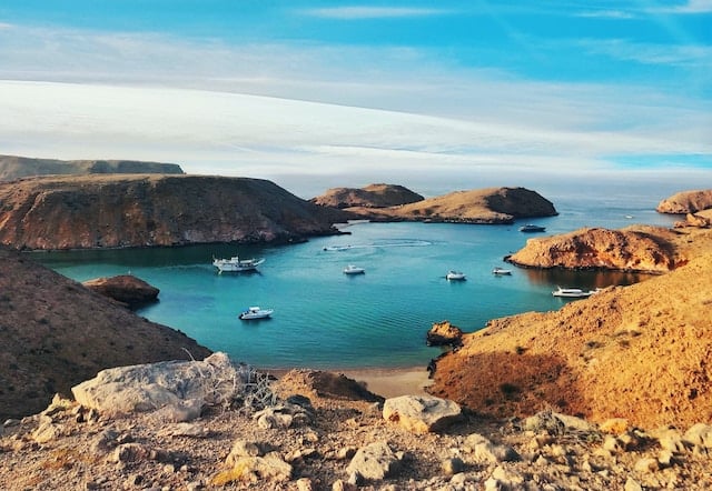 Les trésors cachés d’Oman : Forêts, wadis et plages